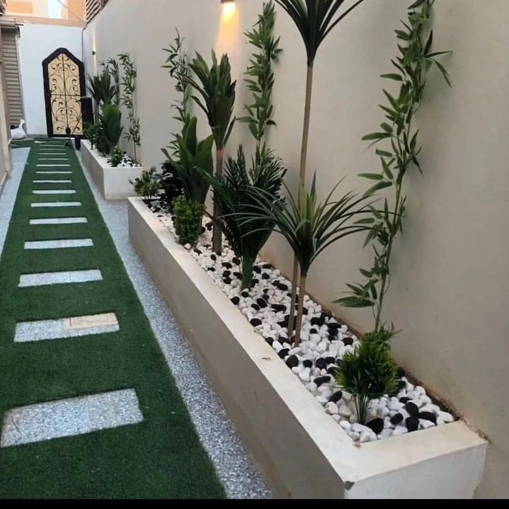 img 20250124 wa0031