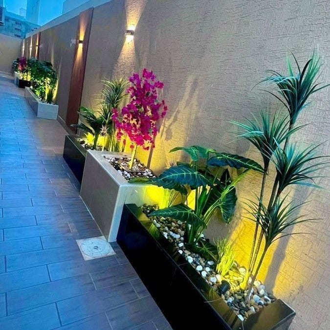 img 20250124 wa0044